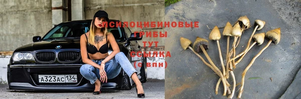 трава Абдулино